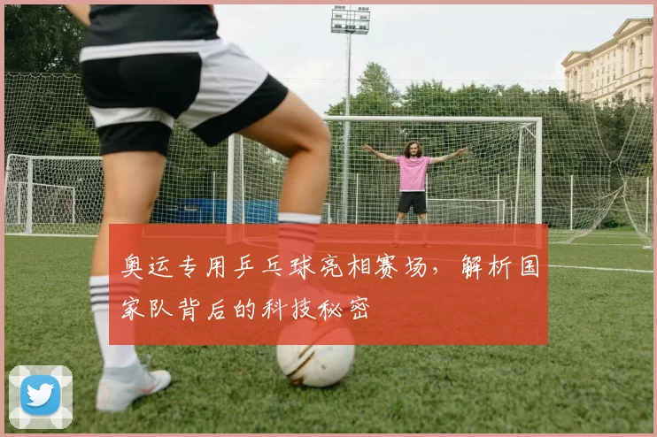 奥运专用乒乓球亮相赛场，解析国家队背后的科技秘密