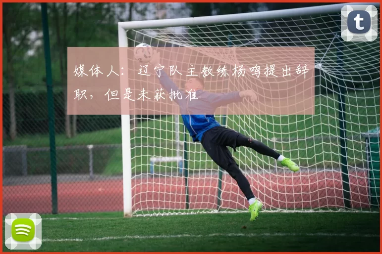 媒体人：辽宁队主教练杨鸣提出辞职，但是未获批准