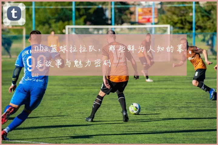 nba篮球拉拉队，那些鲜为人知的幕后故事与魅力密码