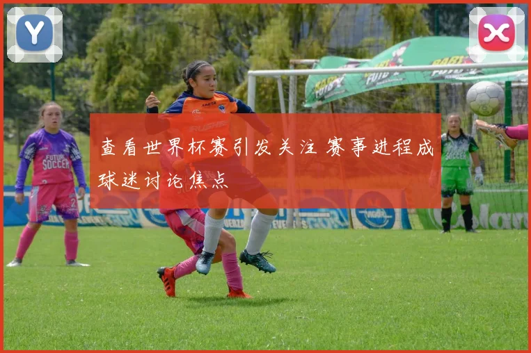 查看世界杯赛引发关注 赛事进程成球迷讨论焦点