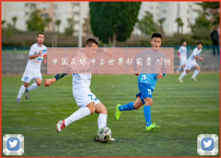 中国足球冲击世界杯前景几何