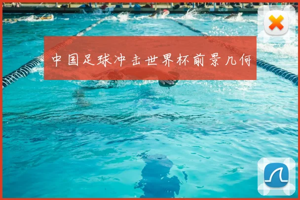 中国足球冲击世界杯前景几何